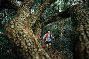 BIB: 
                            <button type="button" onclick="openModal(25393343)" class="btn btn-primary btn-sm float-right btn-popup" data-toggle="modal" data-target=".modal-high-quality">
                        <i class="fas fa-shopping-cart"></i> Add to Cart
                    </button>
                                            <button type="button" onclick="isThisMe(25393343, true)" class="btn btn-success btn-sm float-right btn-popup btn-isme hidden" data-toggle="tooltip" data-placement="bottom" title="นี่คือรูปของคุณใช่ไหม คลิกที่นี่เพื่อเอาเข้าอัลบั้ม">
                        <i class="fas fa-plus"></i> Add to album
                    </button>
                    <button type="button" onclick="isThisMe(25393343, false)" class="btn btn-warning btn-sm float-right btn-popup btn-isnotme hidden">
                        <i class="fas fa-ban"></i> Remove from album
                    </button>